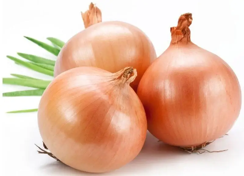 All About Onions