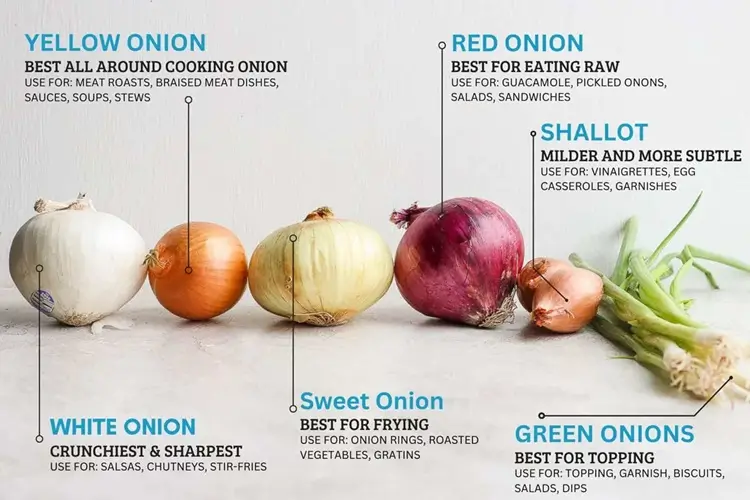 Culinary Uses of Onions