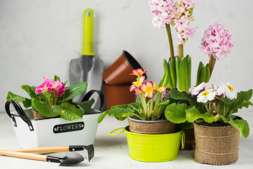 gardening items.