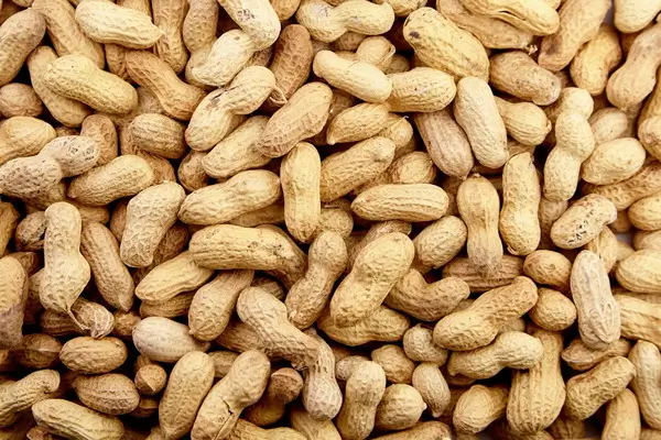 Groundnuts