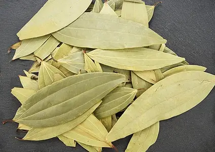 Bay leaf